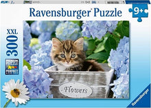 Carica l'immagine nel visualizzatore di Gallery, RAVENSBURGER PUZZLE 300pz XXL Piccolo Gattino 12894