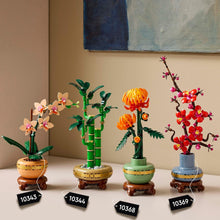 Carica l'immagine nel visualizzatore di Gallery, LEGO BOTANICAL Mini-orchidea 10343