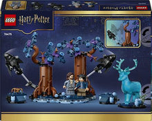 Carica l'immagine nel visualizzatore di Gallery, LEGO HARRY POTTER Foresta Proibita: Expecto Patronum 76475