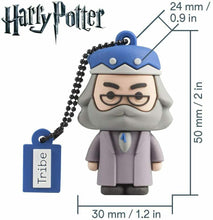 Carica l'immagine nel visualizzatore di Gallery, Chiavetta USB 16 GB Albus Silente TRIBE