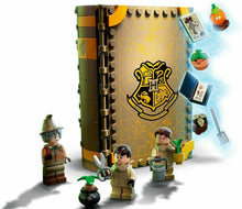 Carica l'immagine nel visualizzatore di Gallery, LEGO HARRY POTTER Lezione di erbologia a Hogwarts 76384
