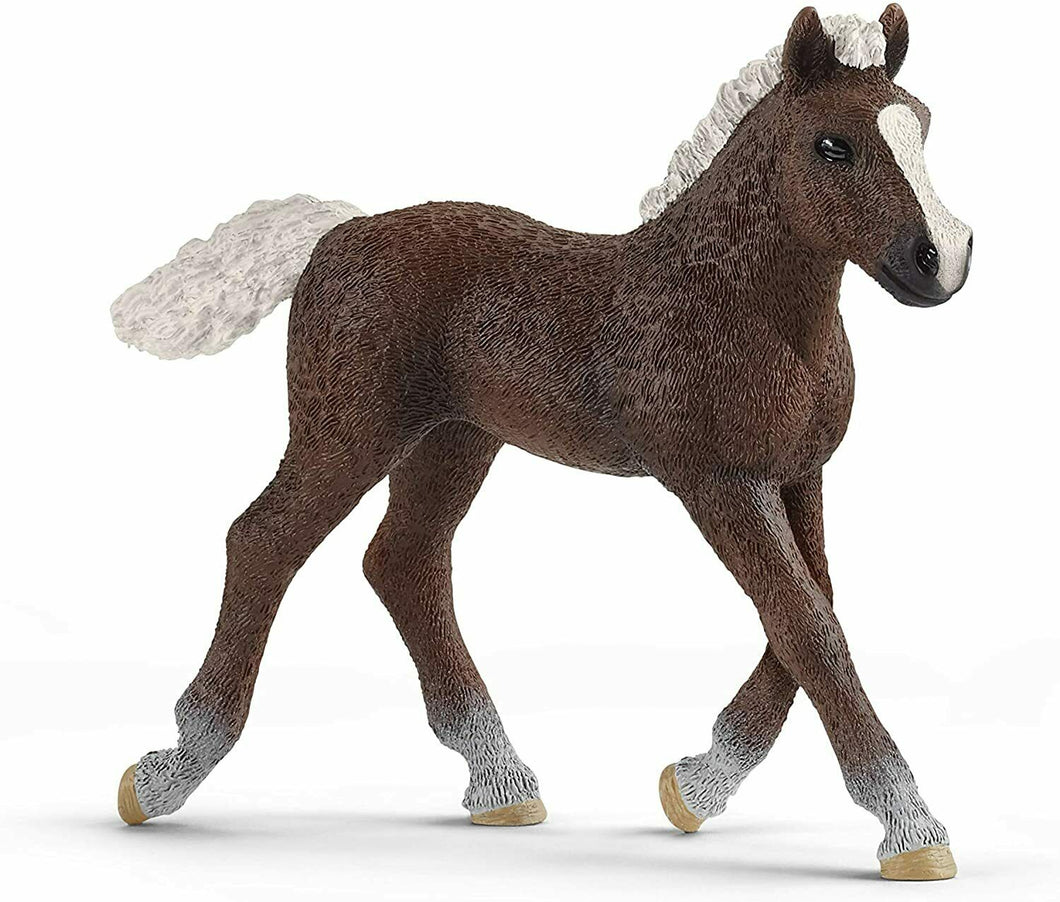 PULEDRO FORESTA NERA Schleich 13899