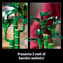 Carica l&#39;immagine nel visualizzatore di Gallery, LEGO BOTANICAL Bambù del buon auspicio 10344
