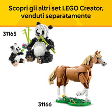 Carica l'immagine nel visualizzatore di Gallery, LEGO CREATOR Animali selvatici: tucano tropicale 31173
