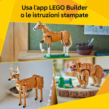 Carica l&#39;immagine nel visualizzatore di Gallery, LEGO CREATOR Cavallo meraviglioso 31166
