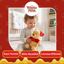 Carica l'immagine nel visualizzatore di Gallery, PELUCHE WINNIE THE POOH Floppy TY
