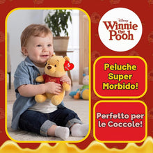 Carica l'immagine nel visualizzatore di Gallery, PELUCHE WINNIE THE POOH Floppy TY
