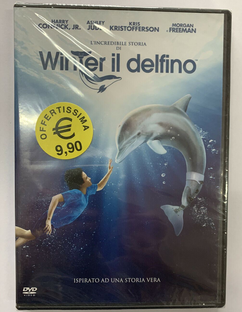 Winter Il Delfino Dvd