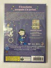 Carica l&#39;immagine nel visualizzatore di Gallery, Peanuts È Il Brachetto Pasquale Charlie Brown Dvd Nuovo Sigillato
