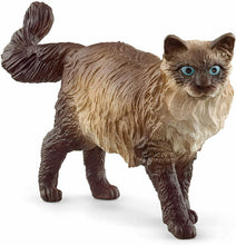 Carica l'immagine nel visualizzatore di Gallery, RAGDOLL CAT Schleich 13940
