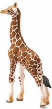Carica l'immagine nel visualizzatore di Gallery, CUCCIOLO DI GIRAFFA Schleich 14751
