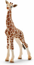 Carica l'immagine nel visualizzatore di Gallery, CUCCIOLO DI GIRAFFA Schleich 14751
